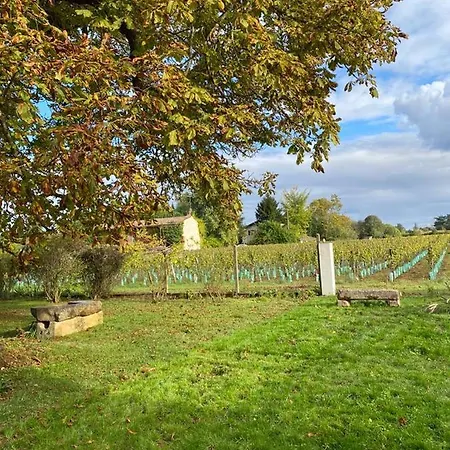 Le Jardin Dans Les Vignes Barsac (Gironde)