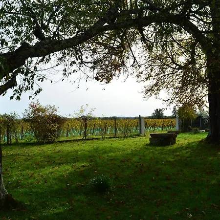 Bed and breakfast Le Jardin Dans Les Vignes 3*