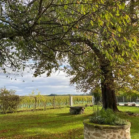 Le Jardin Dans Les Vignes Bed & Breakfast