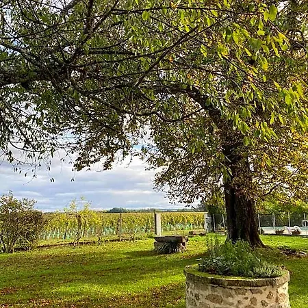 B&B Le Jardin Dans Les Vignes Barsac (Gironde)