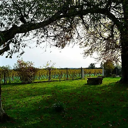 Le Jardin Dans Les Vignes