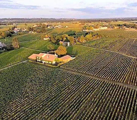 Le Jardin Dans Les Vignes B&B