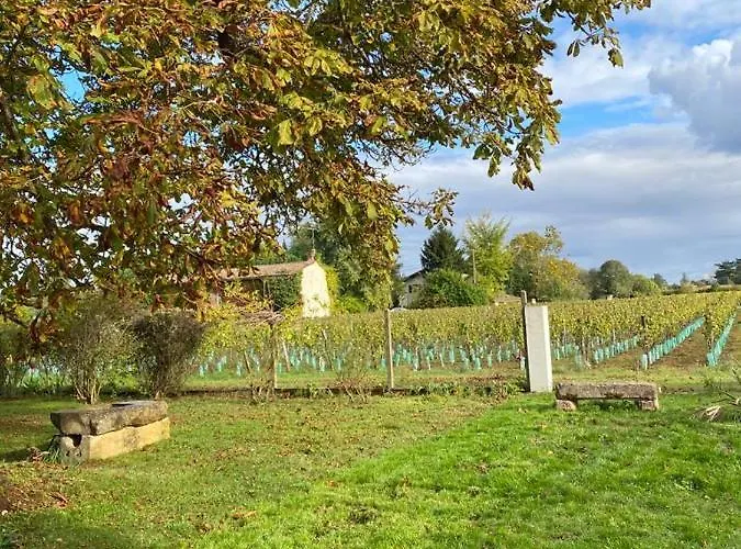 Le Jardin Dans Les Vignes Barsac (Gironde)
