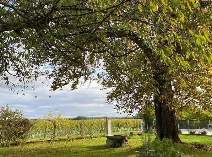 Le Jardin Dans Les Vignes Bed & Breakfast